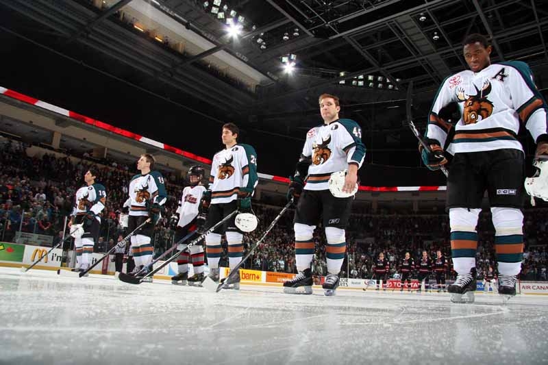 Manitoba Moose Arena