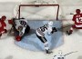 Darren Helm scores the game winning goal in overtime to win the Western Conference Finals against the Chicago Blackhawks, Wednesday, May 27, 2009 at Joe Louis Arena. (JULIAN H. GONZALEZ/DFP)