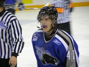 Simon Despres: Sea Dog Stock Falling {RicLaf - Flickr}