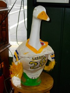 The goose
