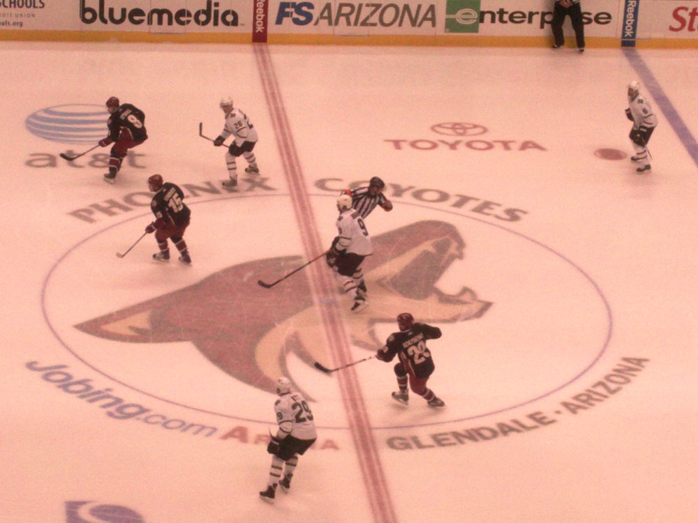 Coyotes vs Stars November 27th - Photo by Sharon Murphy