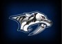 preds logo