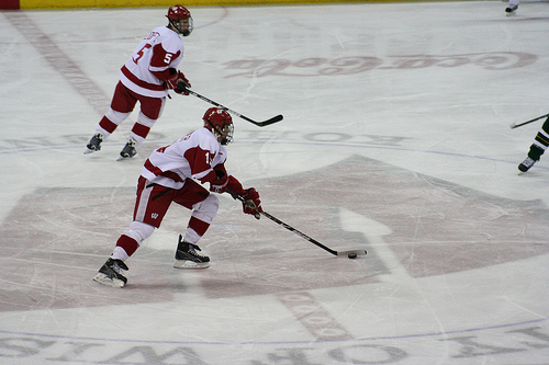 Jake Gardiner certainly deserves Calder consideration (Jibby7/Flickr)