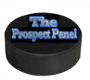 The Prospect Panel Logo