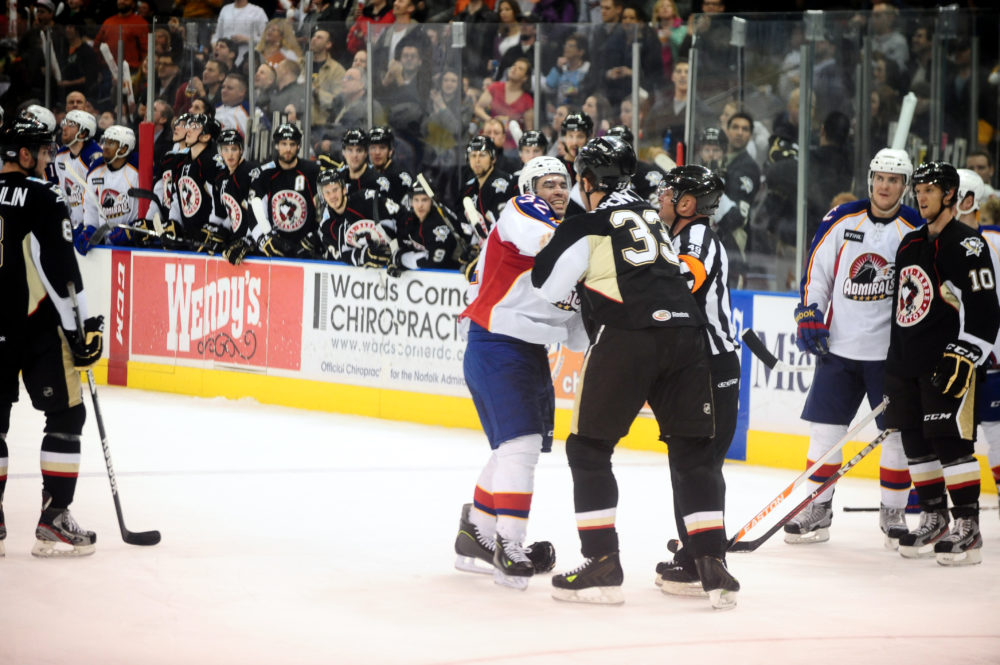 Photo Credit: (Norfolk Admirals/John Wright)