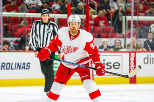 Detroit Red Wings left wing Johan Franzen  (Photo Credit: Andy Martin Jr) 