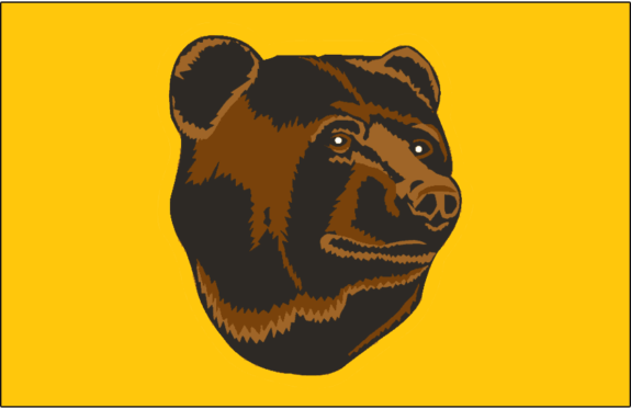 boston bruins yellow bear jersey
