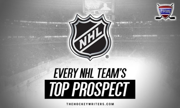 Every NHL Team's Top Prospect 