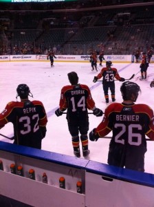 3players Radek Dvorak