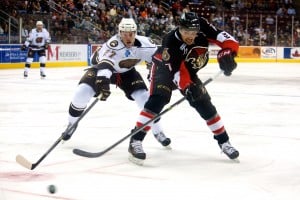 Cody Ceci. (Annie Erling Gofus/The Hockey Writers)