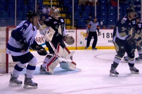 Reading Royals Forward T.J. Syner  faces the Wheeling Nailers in late November 2013. (Annie Erling Gofus/The Hockey Writers)