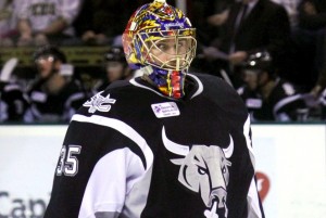 (Ross Bonander / THW)