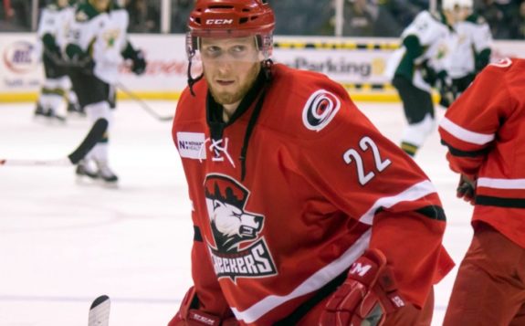Jared Staal, Charlotte Checkers