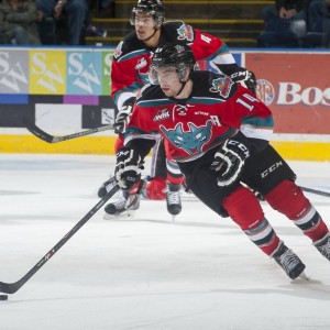 Sharks top prospects