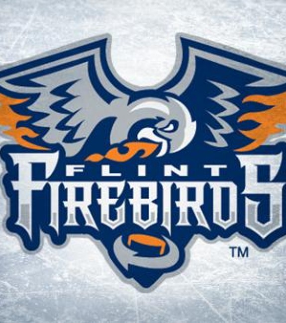 Flint Firebirds