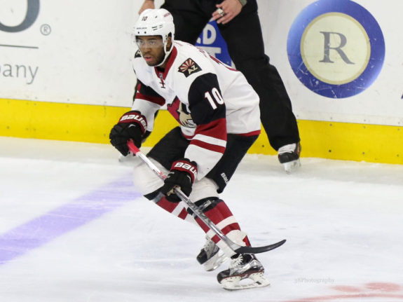 Anthony Duclair )Amy Irvin, The Hockey Writers)
