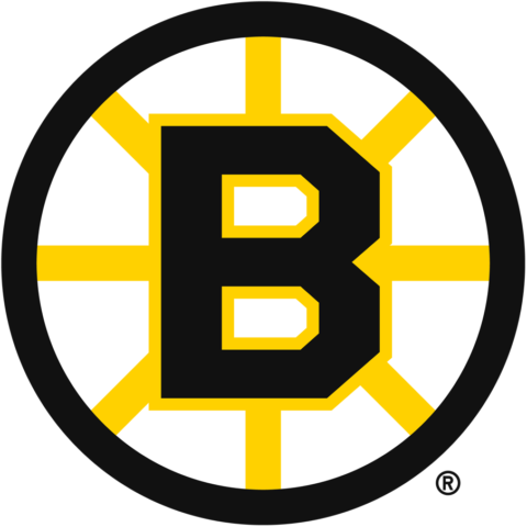 boston bruins