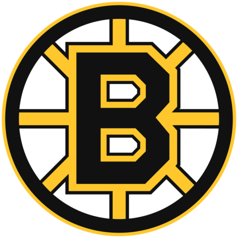 boston bruins
