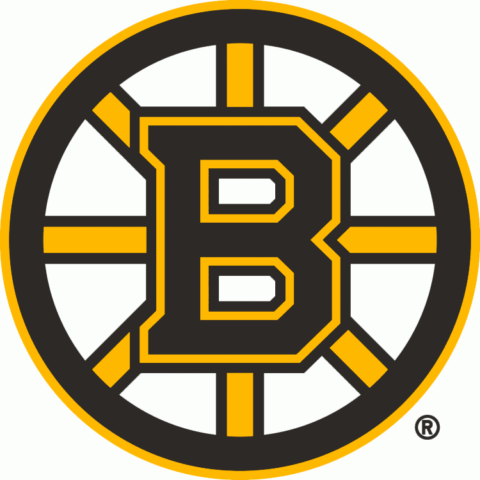 boston bruins