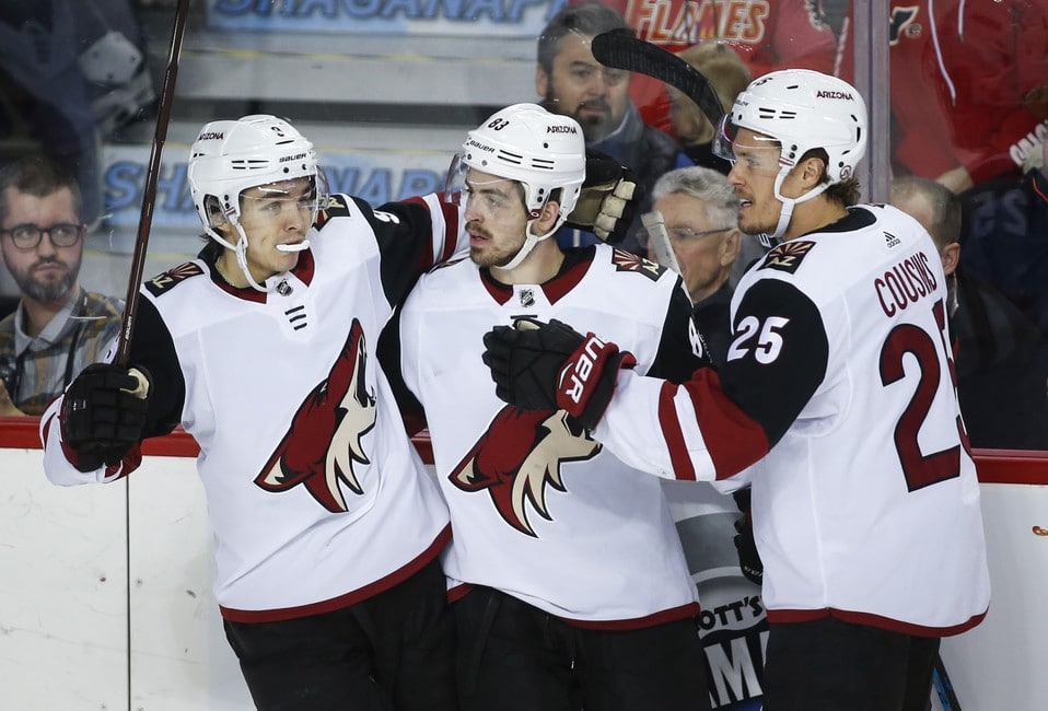 Arizona Coyotes Why They Will Make the Playoffs Again