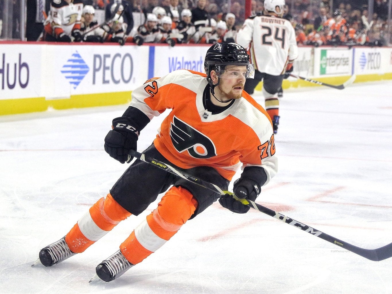 David Kaše - The Hockey Writers