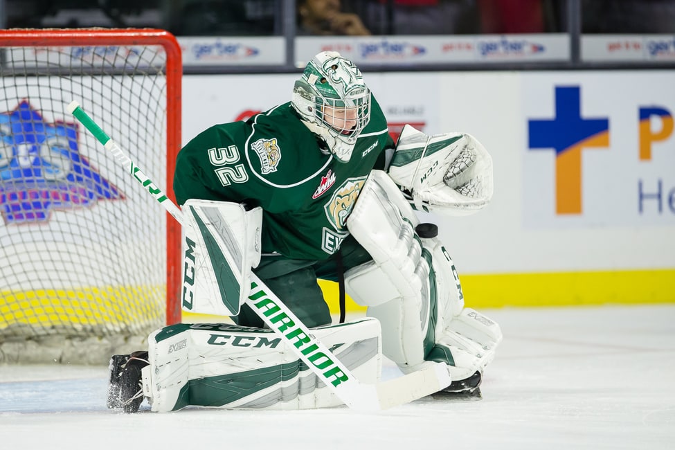 NHL Prospects Who is the Best Goalie on the Rise?