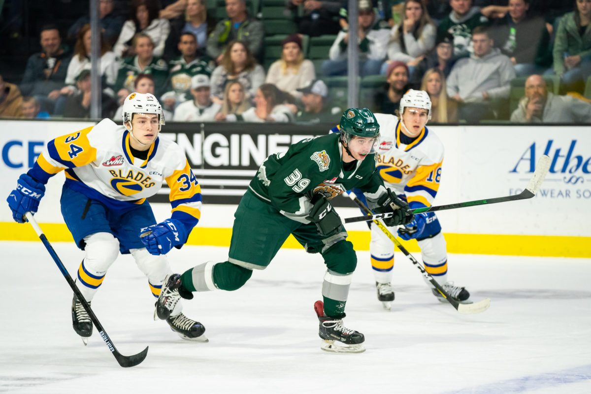 Gage Goncalves, Everett Silvertips