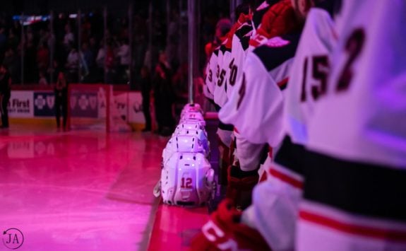 Grand Rapids Griffins Bench