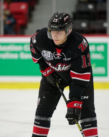 Jakub Lauko, Huskies