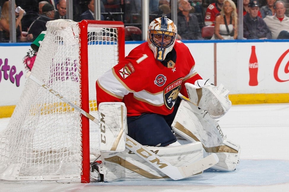 Greatest Florida Panther From Each Country