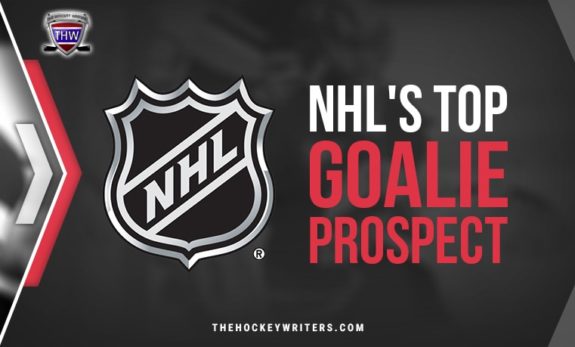 NHL's Top Goalie Prospects
