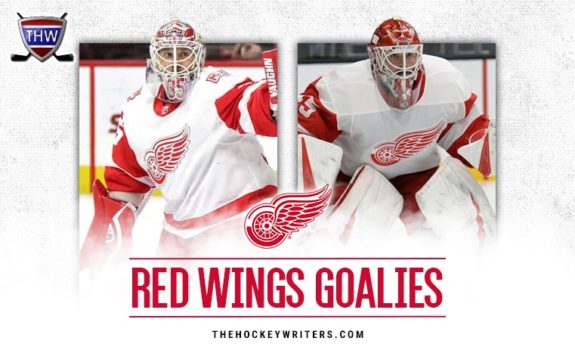 Jimmy Howard and Jonathan Bernier of the Detroit Red Wings.