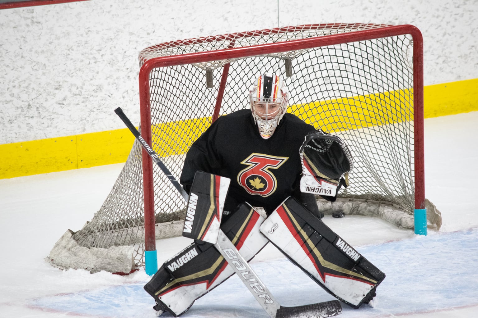 Toronto Six 2021 Season Preview