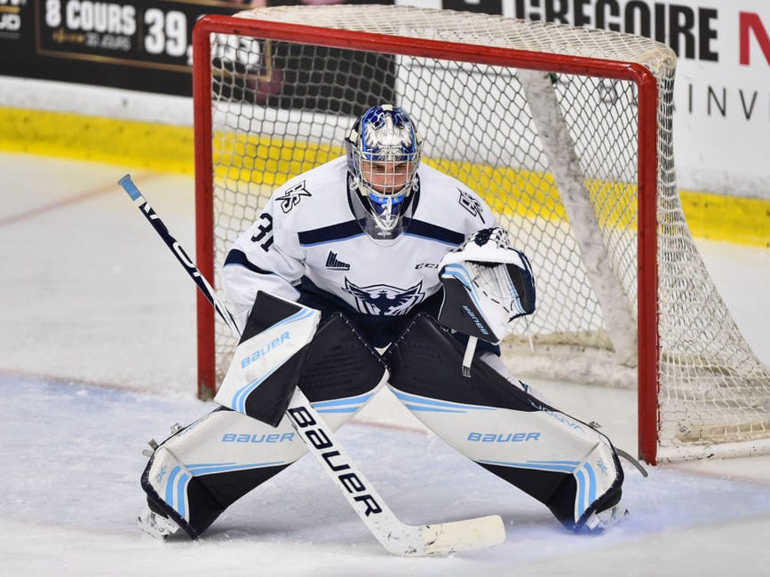 Maple Leafs News & Rumours: Lettieri, Hlavaj, McWard & Building Depth Everywhere