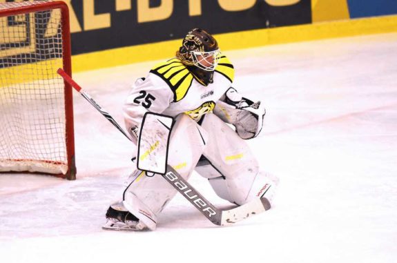 Sara Grahn Brynäs IF