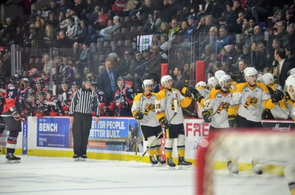 Sarnia Sting bench celebrates