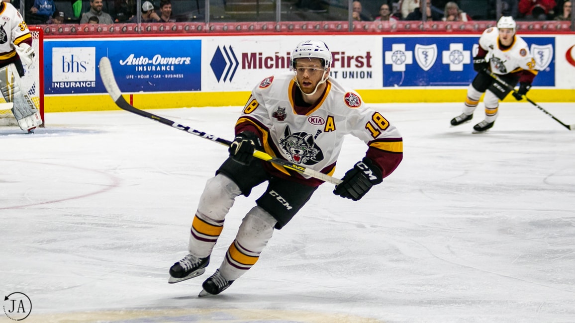 Calder Cup Playoffs Western Conference Finals Preview