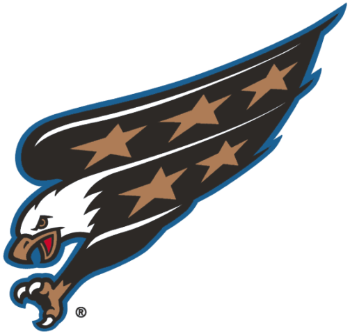 Washington Capitals 1995-2007 Primary Logo