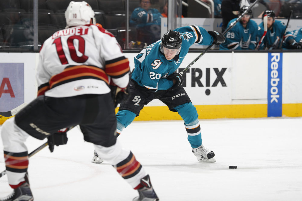 Tucson Roadrunners Success Is Just the Beginning