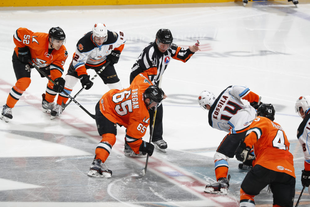 Gulls’ Nikolas Brouillard Was a Swiss Army Knife in 2021-22