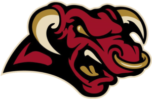 Funniest Hockey Team Names