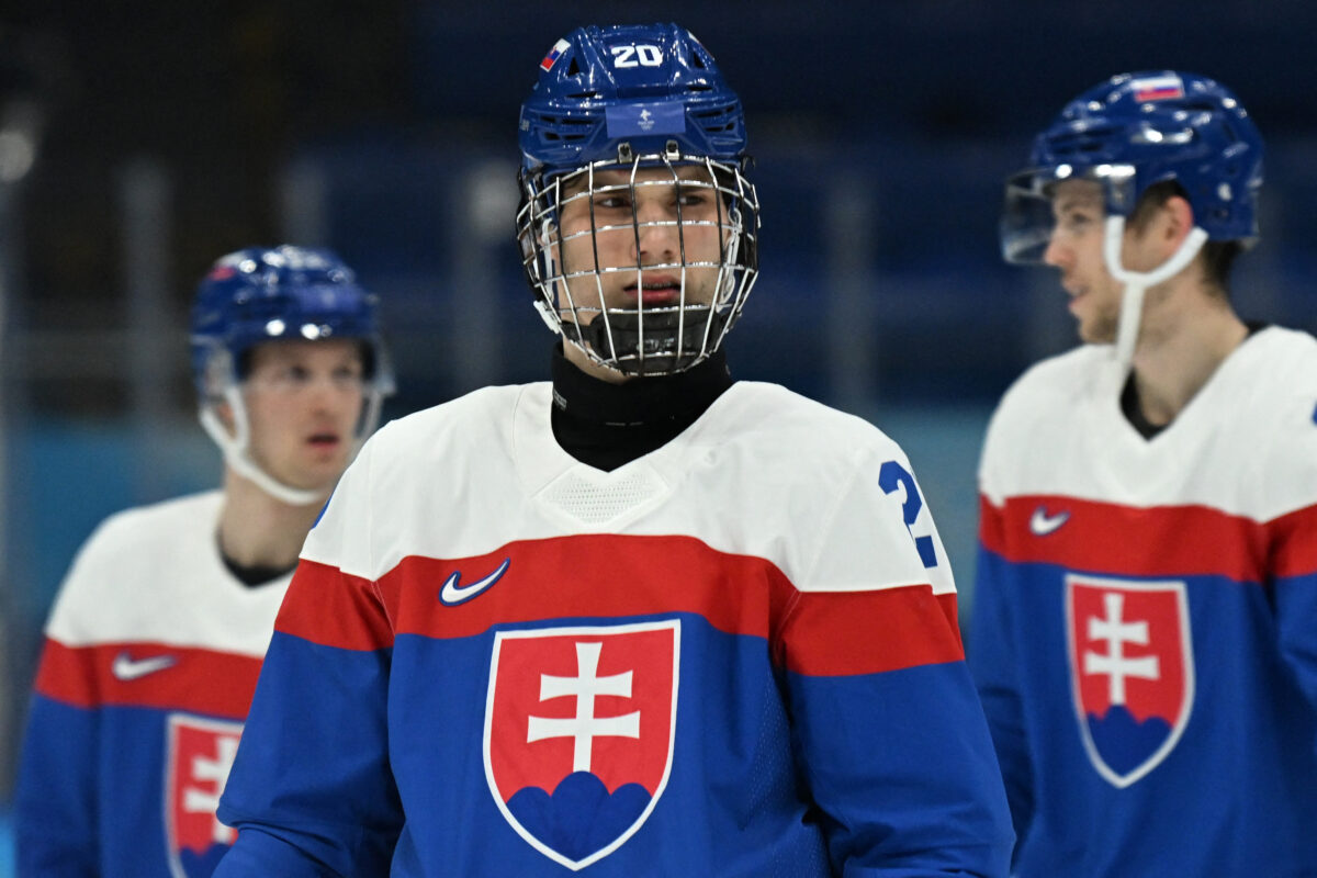 NEW Team Slovakia 2019 World Championship Hockey Jersey Limited Fan Edition BLUE 