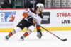 Mason McTavish Anaheim Ducks