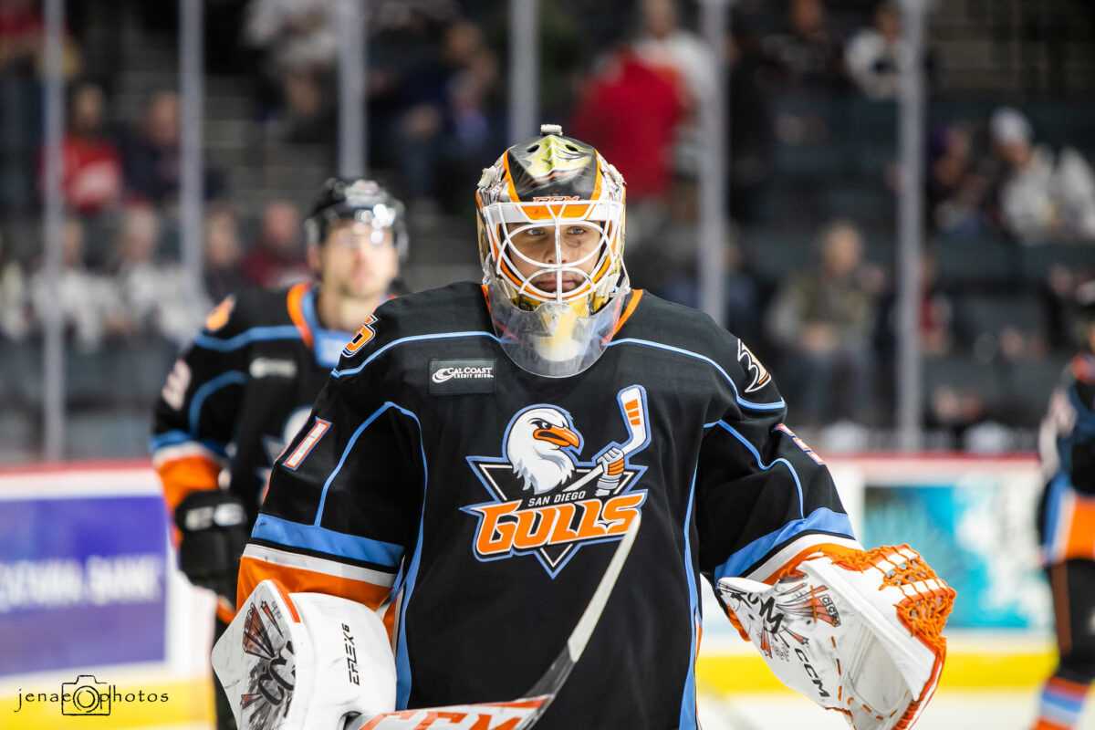 Olle Eriksson Ek San Diego Gulls