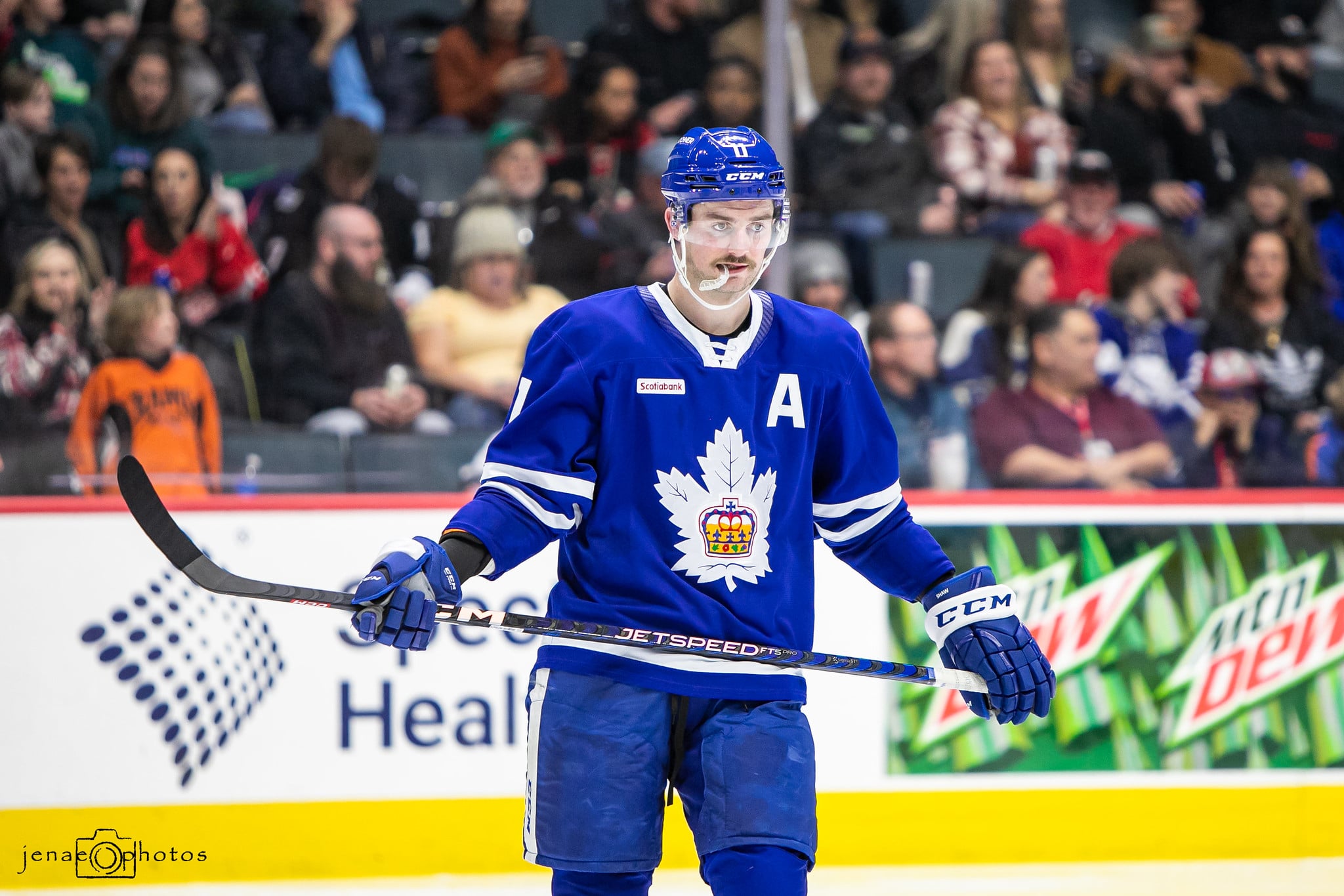 Marlies Vets Showing the Part of Pro Hockey That No One Talks About
