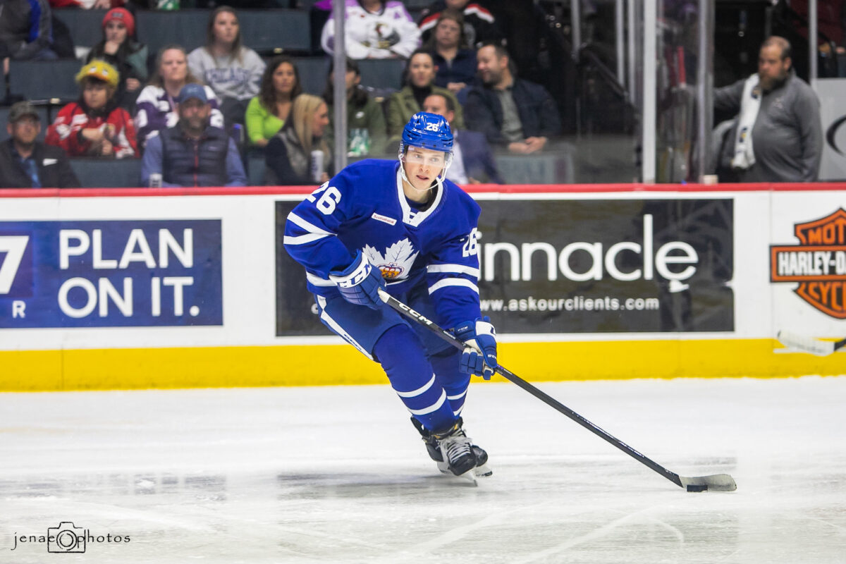 Nick Abruzzese Toronto Marlies