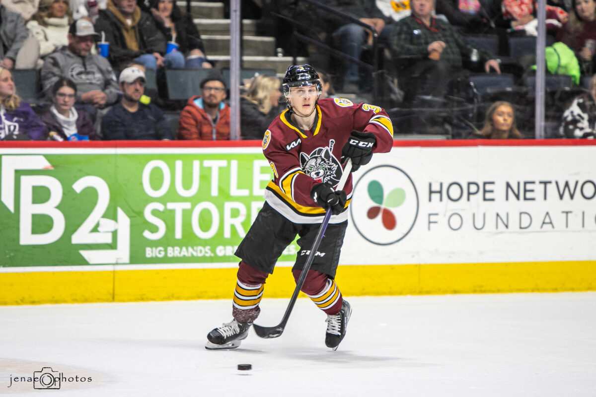 Anttoni Honka Chicago Wolves