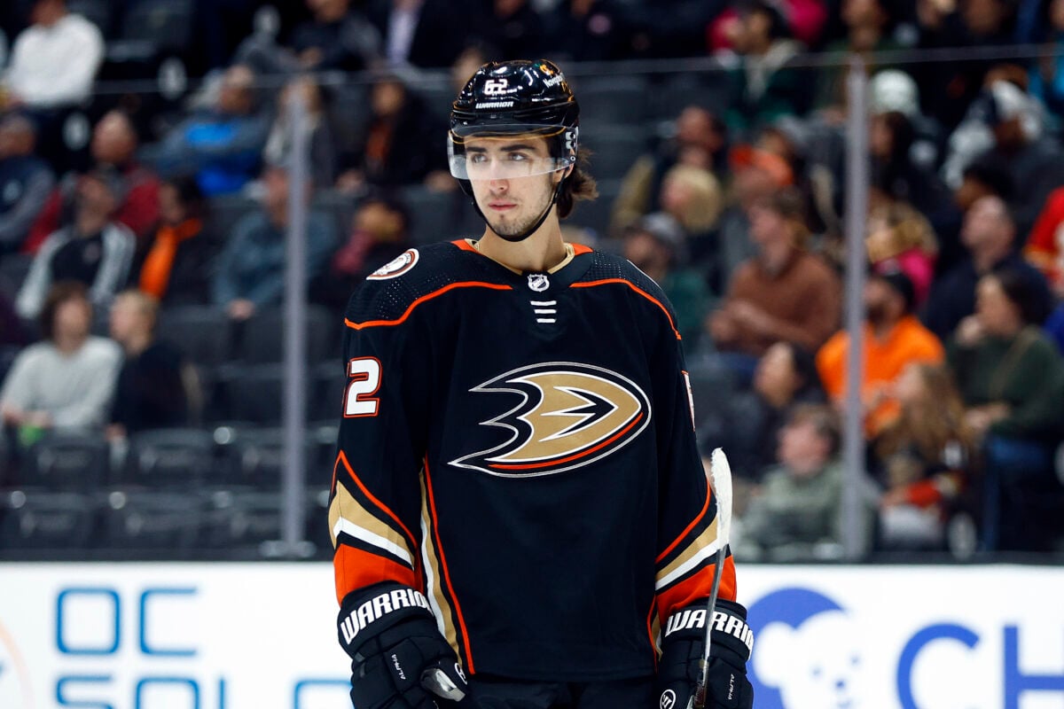 Nikita Nesterenko Anaheim Ducks