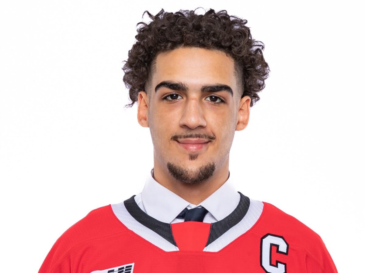 Landon Cato, OHL, Niagara Icedogs