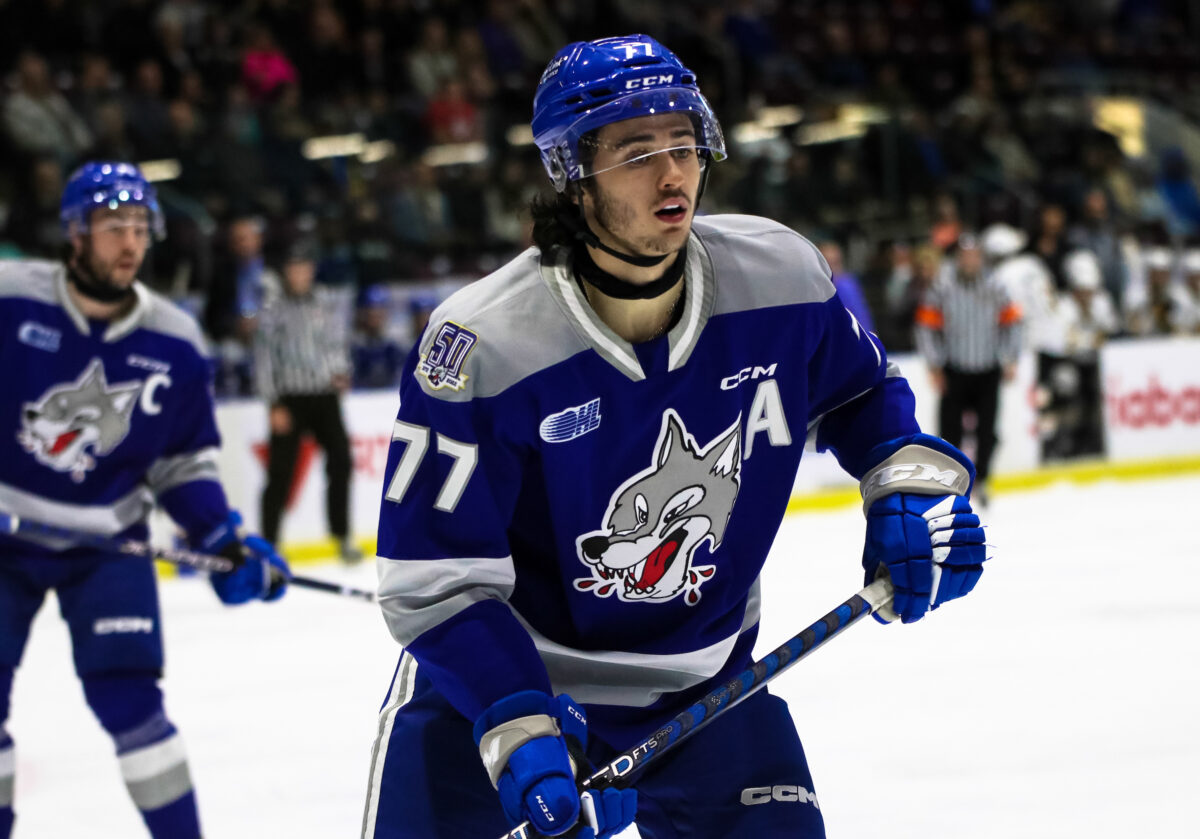 Nolan Colllins Sudbury Wolves